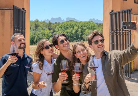 group_vineyards