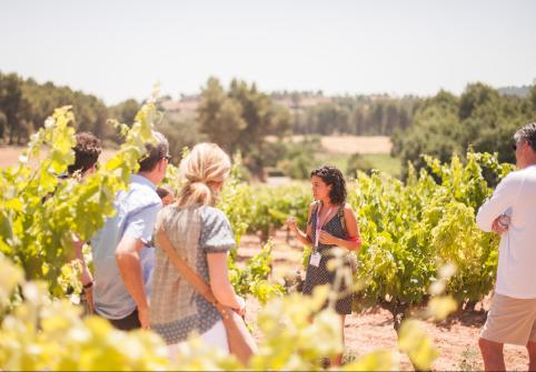 barcelona wine tour montserrat