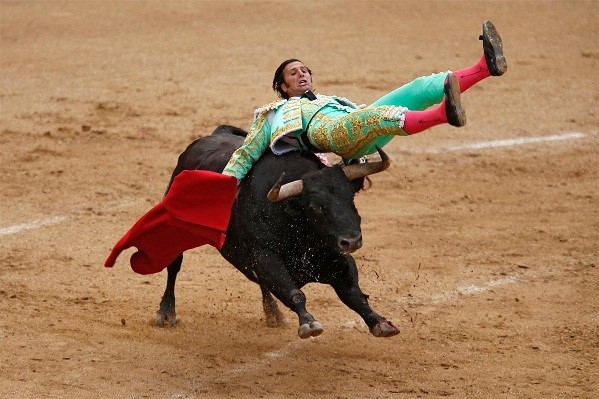 bull3